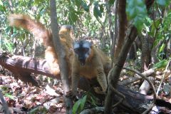 TDM01_Madagascar_20060914-114253