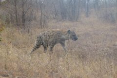 TDM02_AfriqueDuSud_20061007-090147