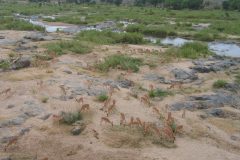 TDM02_AfriqueDuSud_20061009-075143
