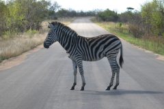 TDM02_AfriqueDuSud_20061011-144029