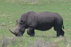 TDM02_AfriqueDuSud_20061013-120107_2