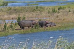 TDM02_AfriqueDuSud_20061013-143033_2