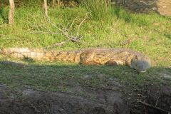 TDM02_AfriqueDuSud_20061013-164652