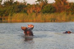TDM02_AfriqueDuSud_20061013-172951