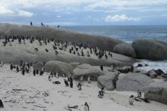 TDM02_AfriqueDuSud_20061102-114438