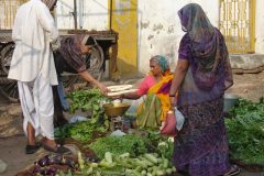 TDM03_Inde_20061112-090614.luc_