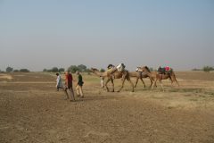 TDM03_Inde_20061114-090941.Bart_