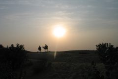 TDM03_Inde_20061114-170516