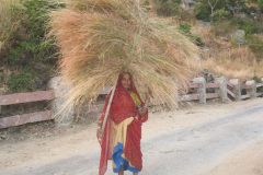 TDM03_Inde_20061118-172225.Bart_