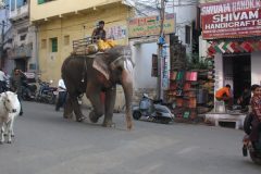 TDM03_Inde_20061119-161645.luc_
