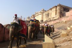 TDM03_Inde_20061124-095451.luc_