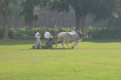 TDM03_Inde_20061125-095623