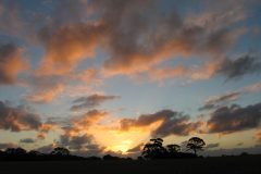 TDM08_Australie_20070121-203024