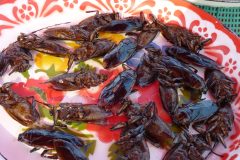 20120204-160412_cambodge_luc