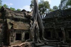 20120207-131515_cambodge