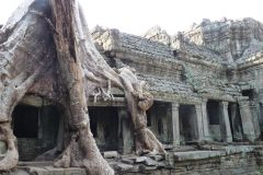 20120208-153930_cambodge