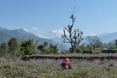 20120311-095644_nepal