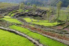 20120314-092258_nepal