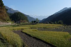 20120316-081241_nepal