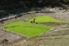 20120316-135250_nepal