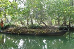 20120401-153348_inde