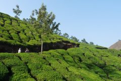 20120406-083014_inde