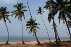 20120417-100800_inde