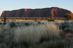 20120509-072222_australie