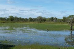 20120523-134842_australie