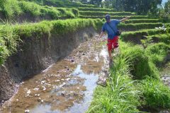 20120712-093141_indonesie_luc