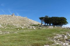 20120918-105918_corse