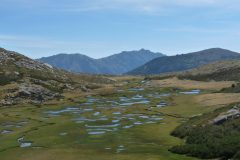 20120918-120517_corse