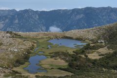 20120918-143904_corse