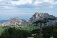 20120919-145641_corse
