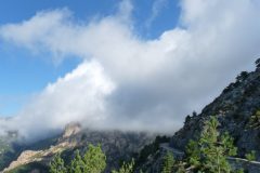 20120920-102852_corse