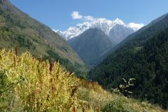 20121009-114921_nepal