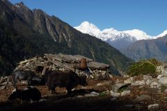 20121013-075237_nepal_luc