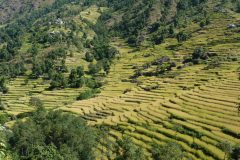 20121025-104524_nepal_luc