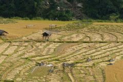 20141104_150145_ght_nepal_est