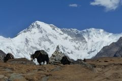 20141123_092948_ght_nepal_est