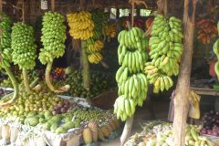 20141218_124536_ght_srilanka_luc