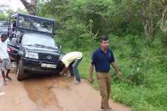 20141227_084340_ght_srilanka_sud