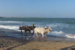 20150111_185625_ght_srilanka_luc