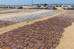 20150121_111253_ght_srilanka_est-montagne