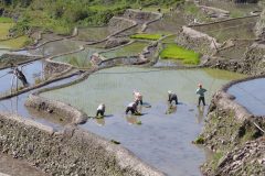 20150228_093534_ght_philippines_cordillera