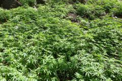 20150408_110338_ght_nepal_mustang