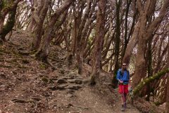 20150410_112034_ght_nepal_mustang