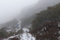 20181111-093558_Sikkim