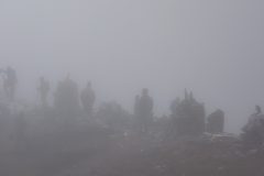 20181111-131854_Sikkim_luc