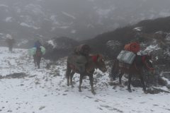 20181113-104430_Sikkim